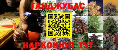 амф Волгодонск