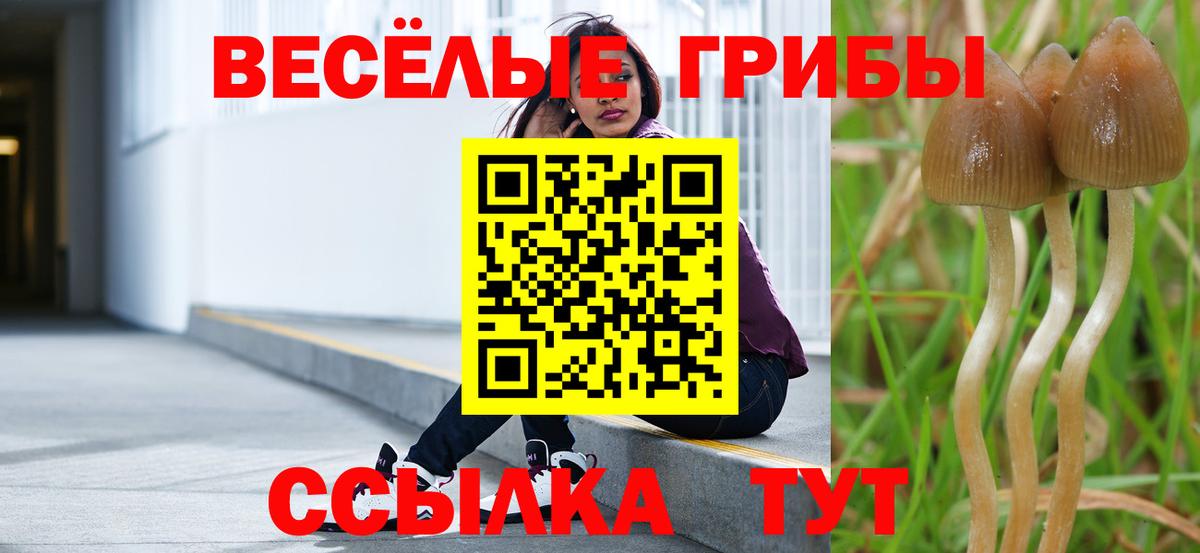 Сафоново  что такое наркотик  Вход с VPN  Псилоцибиновые грибы GOLDEN TEACHER 